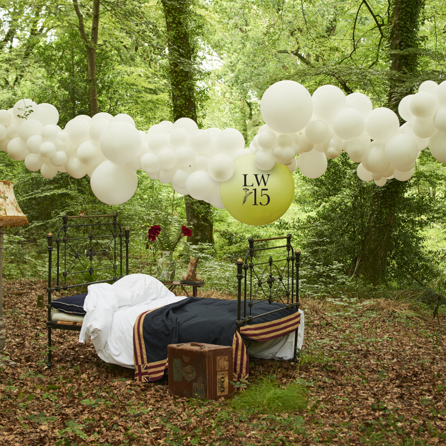 _forest-balloons_860-edited22-131124